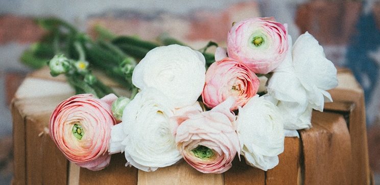 mckenzies-flower-basket
