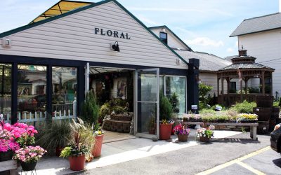 Klotz Floral Design